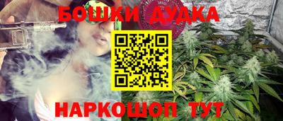 шишки Краснознаменск