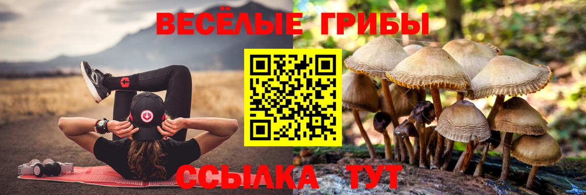 Галлюциногенные грибы Psilocybine cubensis  магазин продажи   Вязьма  Псилоцибиновые грибы Psilocybine cubensis  Вход с VPN 